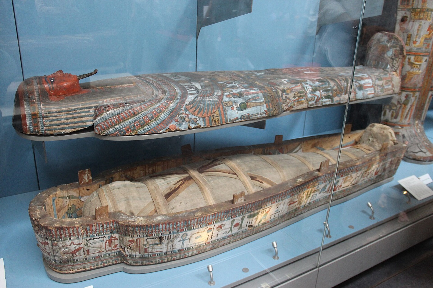 Ancient Egyptian mummy and coffin in the British Museum's Egyptian galleries